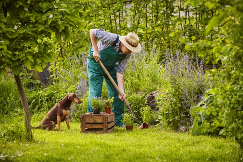Tree surgeons planning safe work with protective equipment and site checks