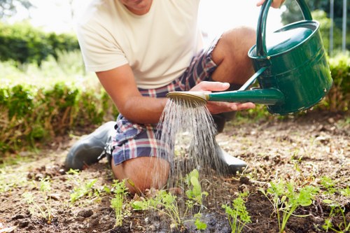 Emergency tree care after storm damage in a residential area