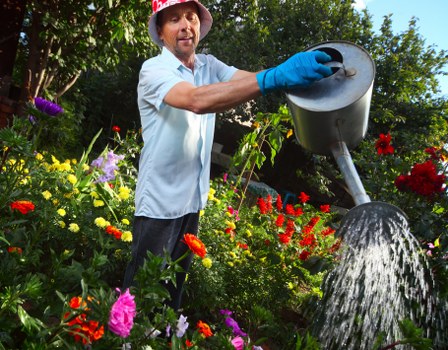 Free quotation policy for tree work in Parsonsgreen