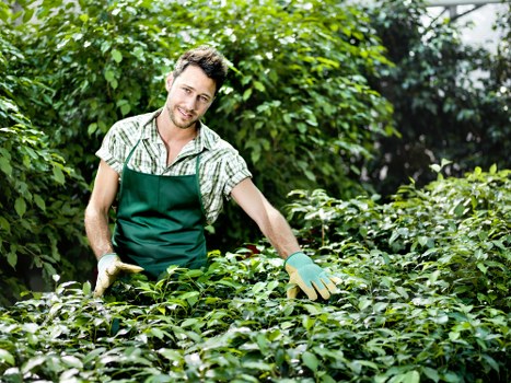 Emergency tree clearance service for homes and businesses in Parsonsgreen