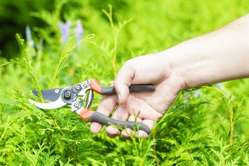 Tree surgeons resolving a service complaint professionally