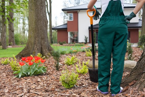Professional tree maintenance for a Parsonsgreen garden and boundary trees